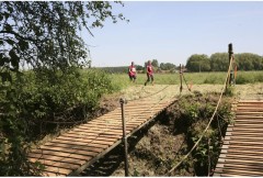 trail2012_055.jpg