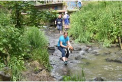 trail2017_281.jpg