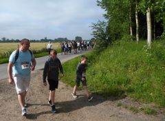 trail2019_013.jpg