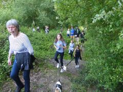 trail2019_024.jpg