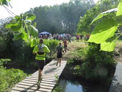 trail2019_029.jpg