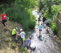 trail2019_039.jpg