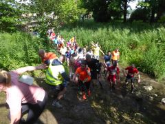 trail2019_047.jpg