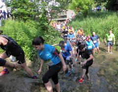 trail2019_048.jpg