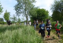 trail2019_050.jpg