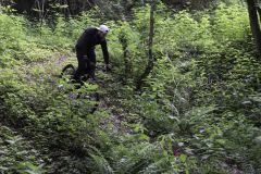 trail2019_069.jpg