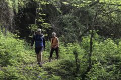 trail2019_070.jpg