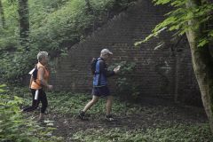 trail2019_072.jpg