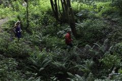 trail2019_073.jpg