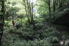 trail2019_075.jpg
