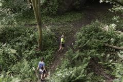 trail2019_079.jpg