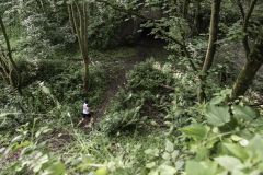 trail2019_086.jpg