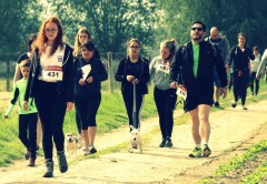 trail2019__0001.JPG