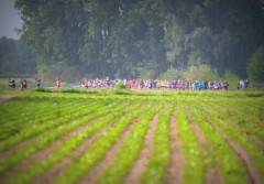 trail2019__0003.JPG