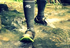 trail2019__0009.JPG